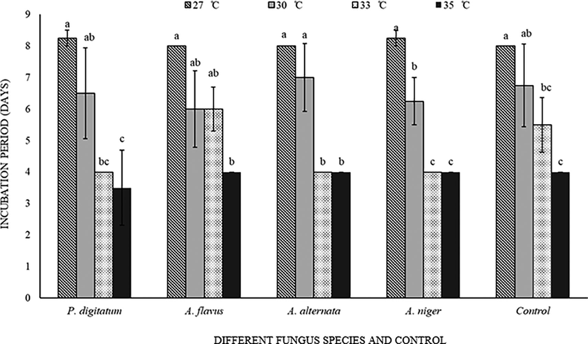 Callosobruchus maculatus incubation period on fungal infected and non-infected C. arietinum at different temperatures. Bars on each column represents standard error (±SE). Duncan test at P = 0.05. (Different fungus species and control are present on X-axis, developmental time at different temperatures is on Y-axis).