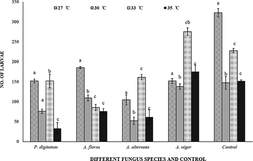 Response of Callosobruchus maculatus (larval population) on fungal infected and non-infected C. arietinum at different temperatures. Bars on each column represents standard error (±SE). Duncan test at P = 0.05. (Different fungus species and control are present on X-axis, developmental time at different temperatures is on Y-axis).