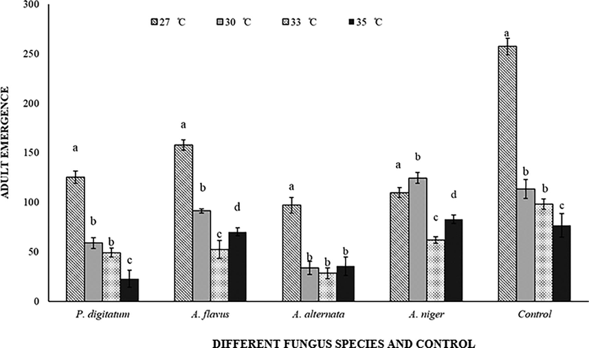 Response of Callosobruchus maculatus (adult emergence) on fungal infected and non-infected C. arietinum at different temperatures. Bars on each column represents standard error (±SE). Duncan test at P = 0.05. (Different fungus species and control are present on X-axis, developmental time at different temperatures is on Y-axis).