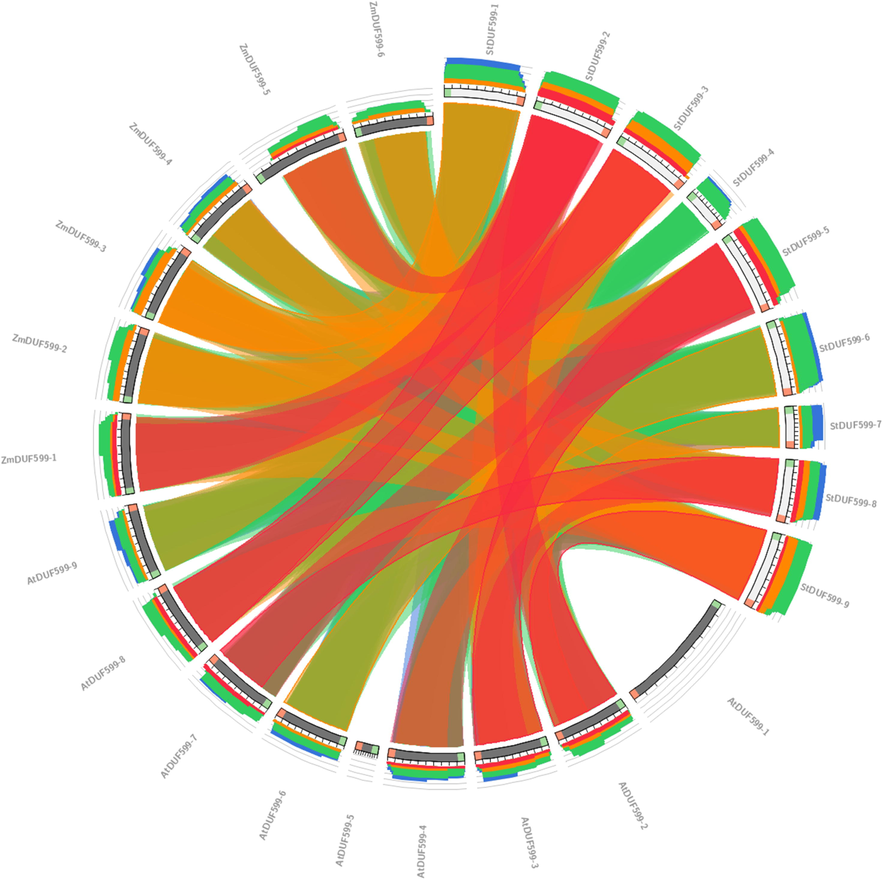 Synteny map among all identified DUF599 sequences of Arabidopsis, Zea mays, and S. tuberosum.