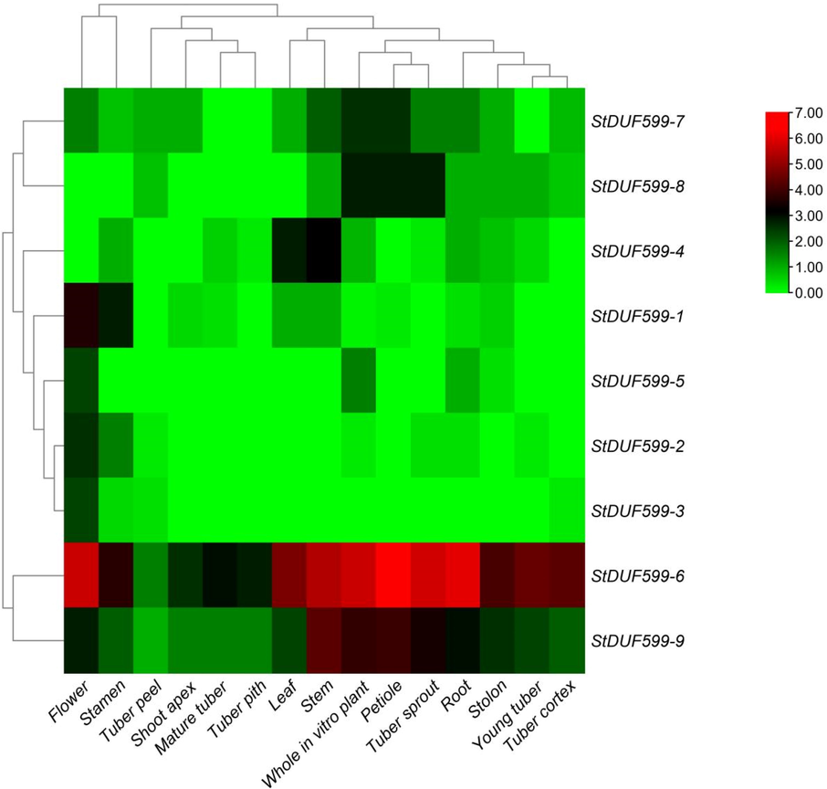 Expression profiling of StDUF599 genes in various developmental tissues. The red, black, and green colors display high to low expression. levels.