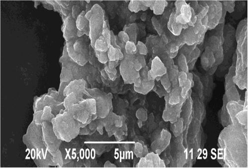 Scanning Electron Microscopy images of synthesized AgNPs.