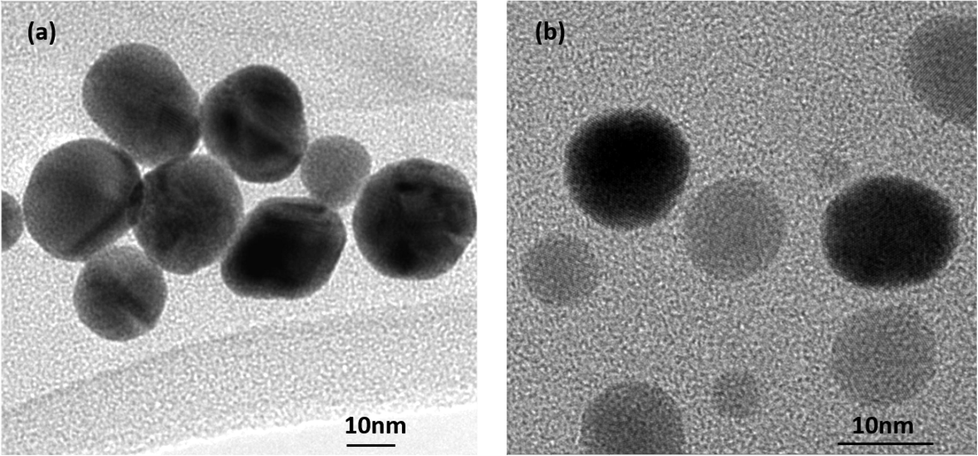 (a) HR TEM micrograph of Au NPs and (b) HR TEM micrograph TEM of Ag NPs.