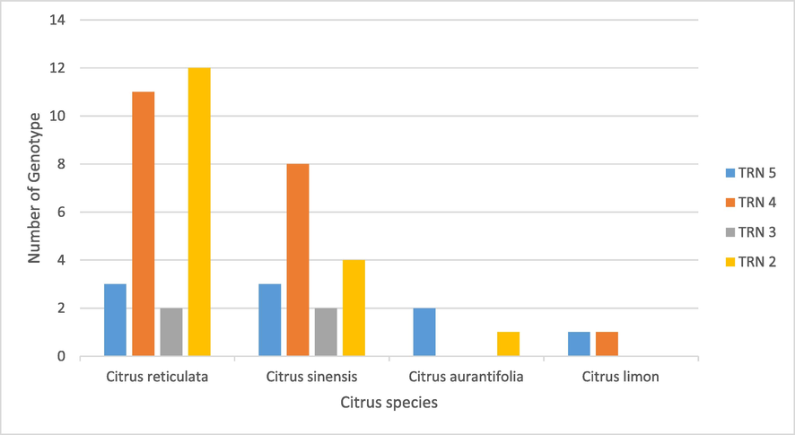 Graphical illustration of ‘Candidatus Liberibacter asiaticus’ genotypes according to tandem repeat numbers CLIBASIA 01645 distribution in different citrus species in Saudi Arabia.