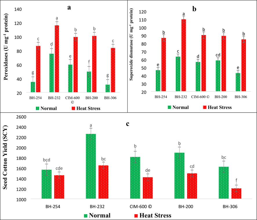 Impact of Heat stress on (a) Peroxidases (POXs) and (b) Total superoxide dismutase (T-SOD) activity (c) seed cotton yield in cotton genotypes.