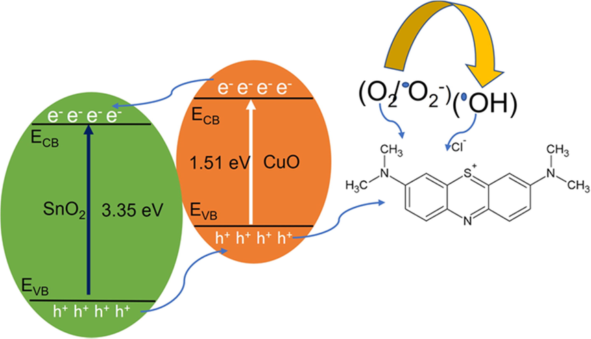 A schematic illustration of the photocatalytic mechanism for the heterojunction SnO2 - CuO nanoparticles