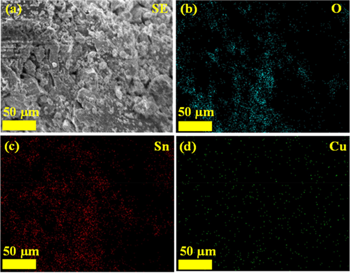 (a-d). FESEM and EDX mapping of SnO2 - CuO nanocomposite sample.