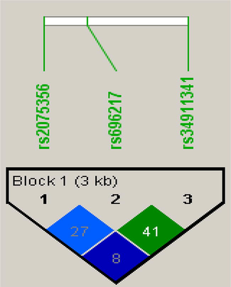 Analysis of linkage disequilibrium in 3 SNPs present in GHRL gene.