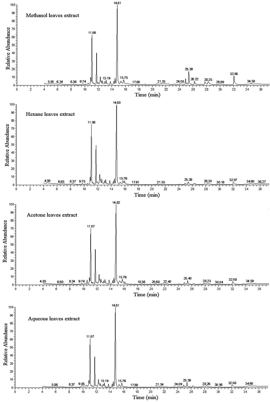 The TIC chromatograms of leaves, methanol, hexane, acetone and aqueous extracts from Thuja orientalis showing chemical constituents separation detected by GC–MS.