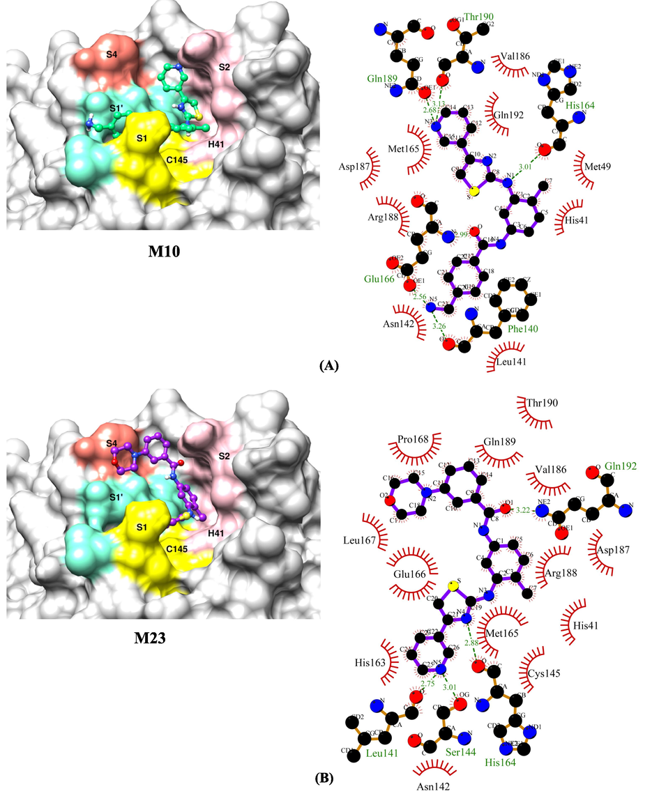 The binding orientations and molecular interactions between SARS-CoV-2 Mpro enzyme and compounds (A) M10 (B) M23 (C) M32 and (D) Masitinib. Compounds in the active site pocket of the enzyme with catalytic dyad (His41 and Cys145) and substrate binding subsites-S1, S1′, S2 and S4 are shown in the binding models on the left side panel. The right-hand panel displays the LigPlot + program's molecular interaction data, with hydrophobic interactions depicted as semi-arcs with red eyelashes and hydrogen bonds depicted as green dashed lines.