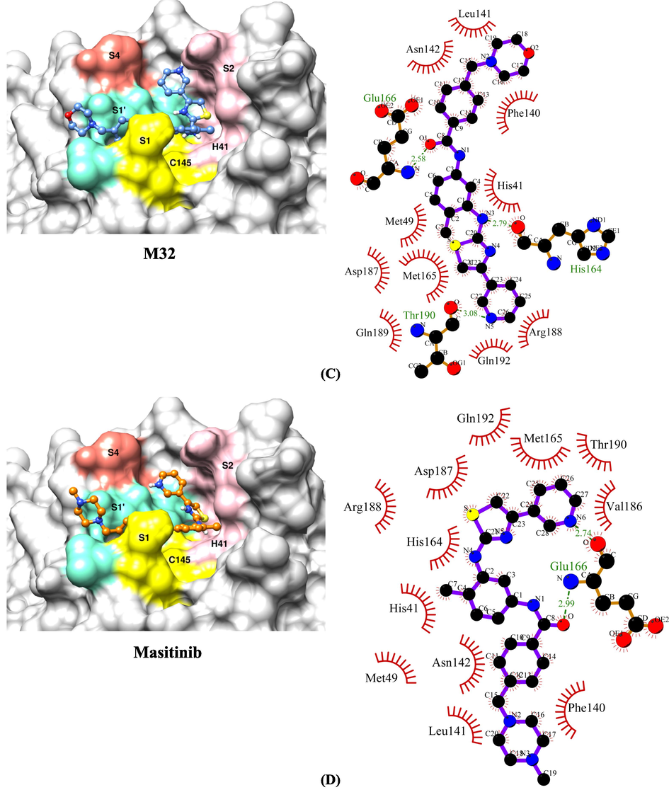 The binding orientations and molecular interactions between SARS-CoV-2 Mpro enzyme and compounds (A) M10 (B) M23 (C) M32 and (D) Masitinib. Compounds in the active site pocket of the enzyme with catalytic dyad (His41 and Cys145) and substrate binding subsites-S1, S1′, S2 and S4 are shown in the binding models on the left side panel. The right-hand panel displays the LigPlot + program's molecular interaction data, with hydrophobic interactions depicted as semi-arcs with red eyelashes and hydrogen bonds depicted as green dashed lines.