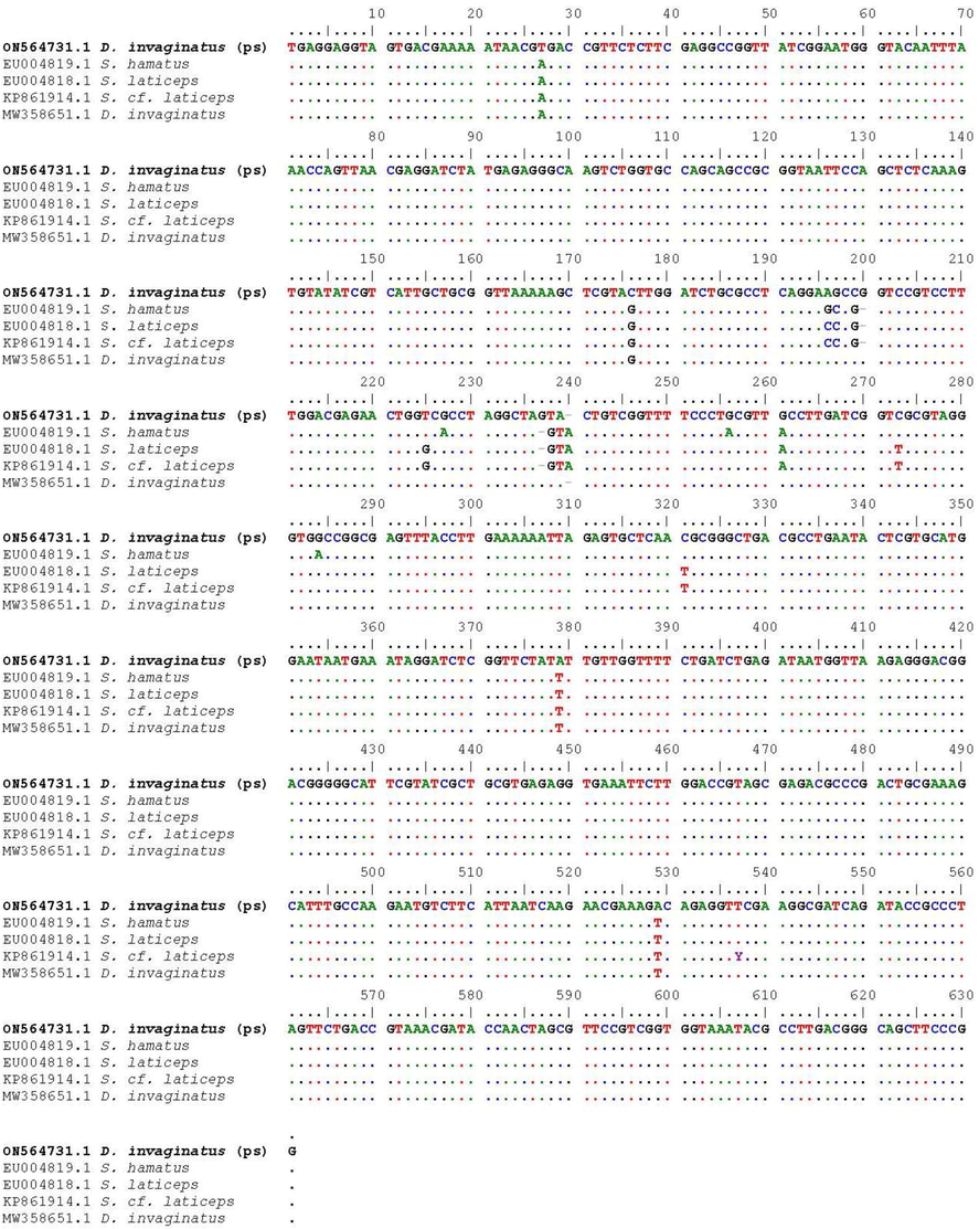 Partial 18S rRNA gene sequence alignment of Desportesius invaginatus with the most closely related species (Only variable sites are given). Bases that are similar to those in the initial sequences are shown by dots, whereas gaps are indicated by dashes. (PS mentioned specimen in the present study).