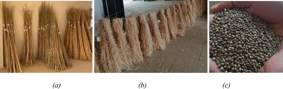 Hemp post-harvest processes (a; dry stem, b; fiber, c; seed).