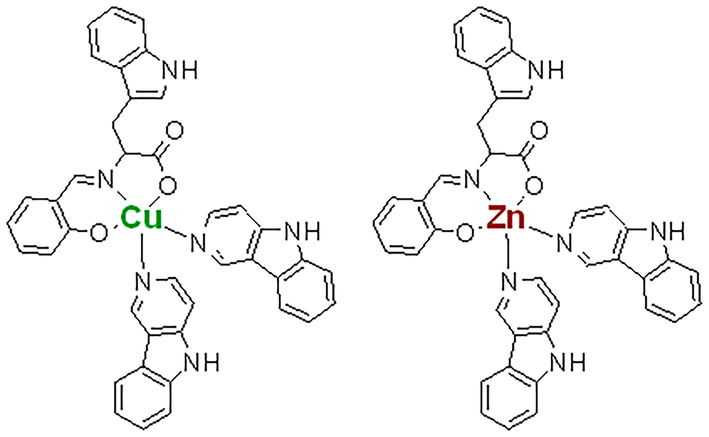 Showing the structure of copper (II) and zinc (II) compounds with amino acid, L-Tryptophan derived ligand along with auxiliary β-carbolines units.