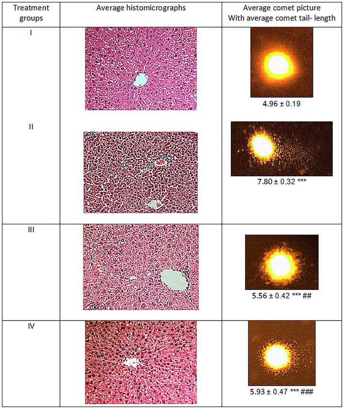 Showing the average comet picture and liver section of the treated animals. The asterisk mark * indicates values significantly different from the control (group I), while # indicates values significantly different from the control positive (group II). All experiments were conducted in triplicate, and the data are presented as the mean ± SD. P-values were calculated by Student's t-test, * or # p < 0.05; ** and ## p < 0.01; *** or ### p < 0.001.