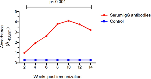 Geometrical mean IgG antibodies post immunization using ELISA test. The mean of IgG antibodies response following immunization at different time points compared to control (pre-immunization). Two- way ANOVA analysis was performed to compare between two different groups, p < 0.001 is considered significant.