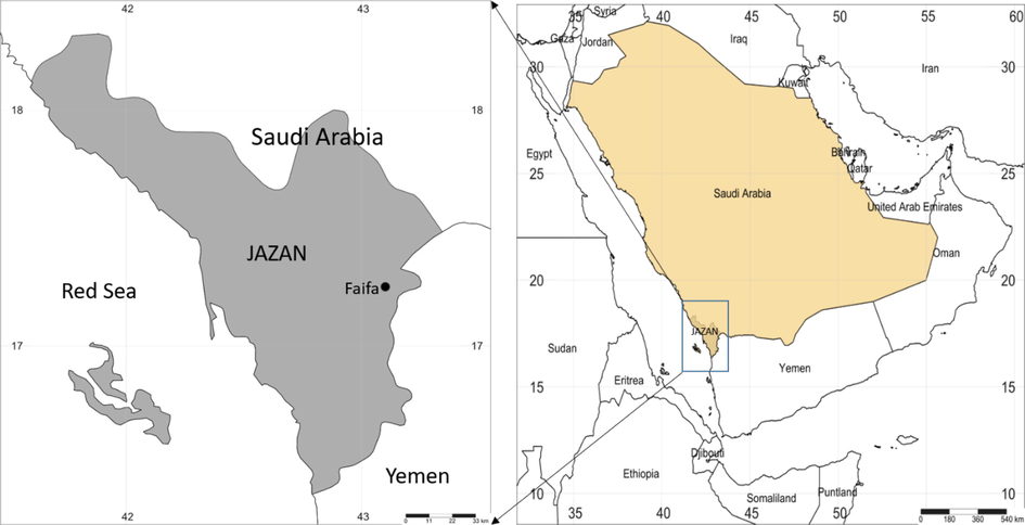 The location of the investigated area.