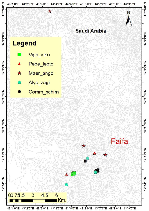 Distribution pattern of the five newly recorded taxa in Faifa province, Saudi Arabia (Alys_vagi: Alysicarpus vaginalis; Comm_schim: Commiphora schimperi; Maer_ango: Maerua angolensis DC. subsp. angolensis; Pepe_lepto: Peperomia leptostachya; Vign_vexi:Vigna vexillata).