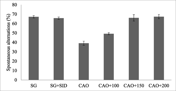 Polyphenolic compound (PP) treated ischemia-induced Albino rat and memory.