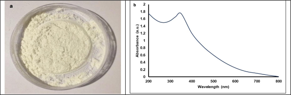 A) pure ZnO-NPs as a white powder, b) UV–visible spectrum of ZnO-NPs synthesized using seed extract of M. oleifera.