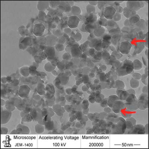 TEM of ZnO-NPs.