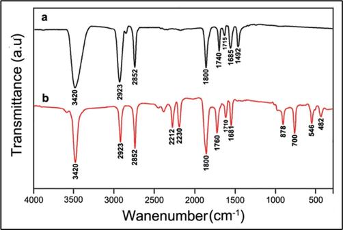 FTIR spectrum of a) M. oleifera seed extract, and b) biosynthesized ZnO-NPs.