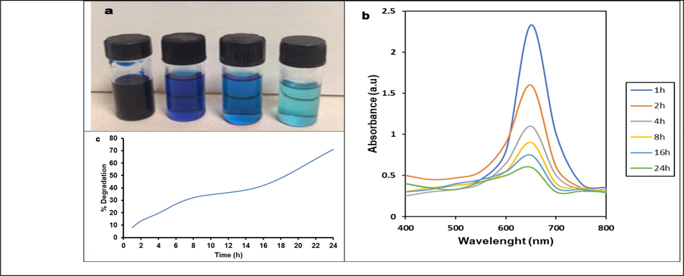 Catalytic activity of ZnO-NPs synthesized using seed extract of M. oleifera under UV radiation.