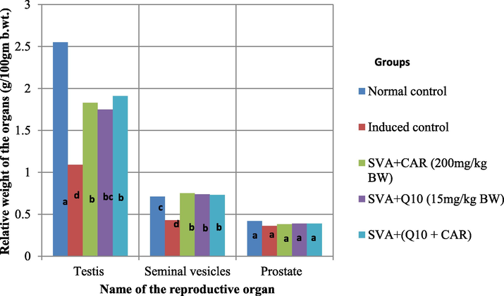 Effect of different treatments of Carnosine and CoQ10 on the relative weight of reproductive organs of male rats. Data (n = 5 independent experiments) is expressed as mean ± SD. a, b,c and d indicate the significant differences at P < 0.05 among treatments.