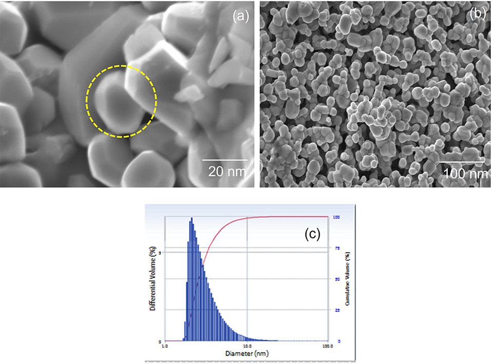 (a-b). Scanning electron microscopy images of silver nanosponges synthesized from Couroupita guianensis flower petal extracts; (c) Dynamic Light Scattering of AgNPs using flower petal extracts of Couroupita guianensis.