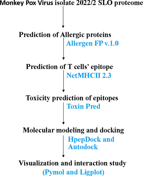 A flow chart showing the strategy used to identify the peptide for possible epitope vaccine formation.