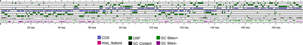 The linear double-stranded DNA genome of Monkey Pox Virus isolate 2022/2 SLO genome.