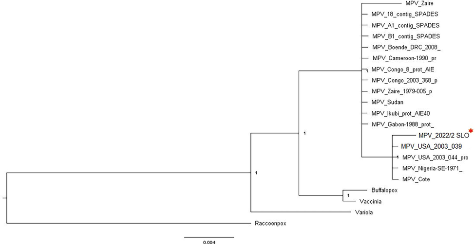 Bayesian Phylogeny analysis of selected Monkey Pox Virus strains.