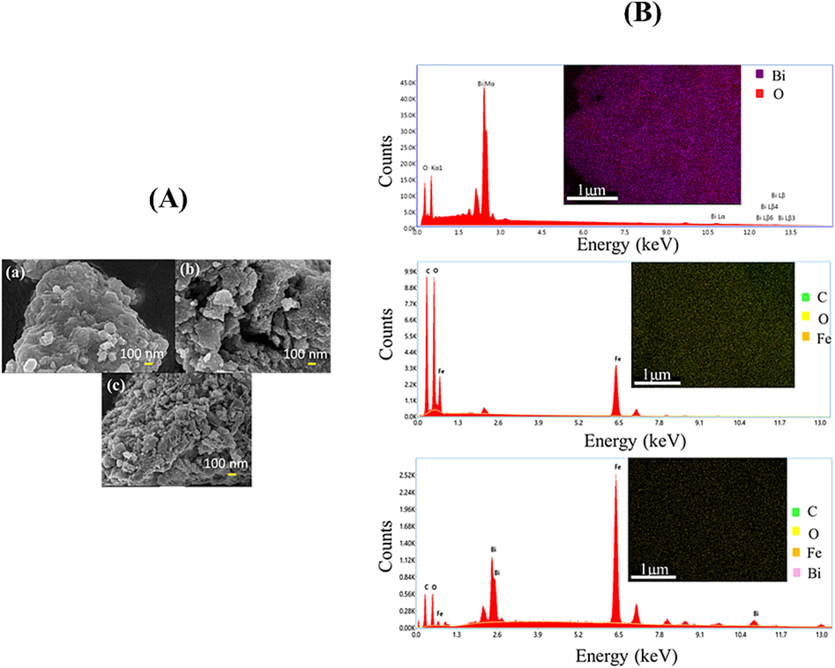 (A) FESEM images of (a) Bi2O3, (b) Fe-MOF, and (c) Bi2O3@Fe-MOF-3 composite and (B) EDX constitution and elemental mapping of the synthesized compounds.