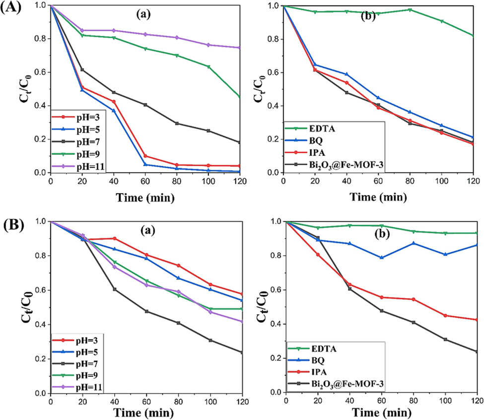 Photocatalytic decontamination of (A) RhB and (B) TC involving (a) effect of different pH mediums and (b) effect of addition of different scavengers on Bi2O3@Fe-MOF-3.