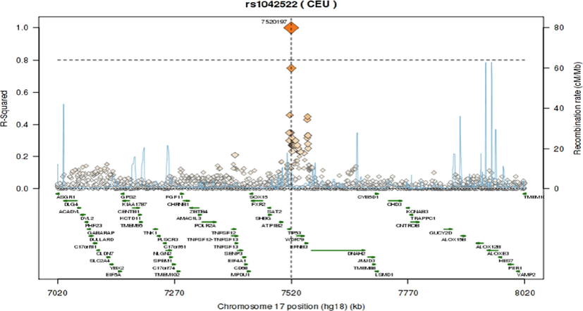 Regional LD plot for the TP53 SNPs (A) rs1042522; (B) rs1642785; (C) rs9894946.