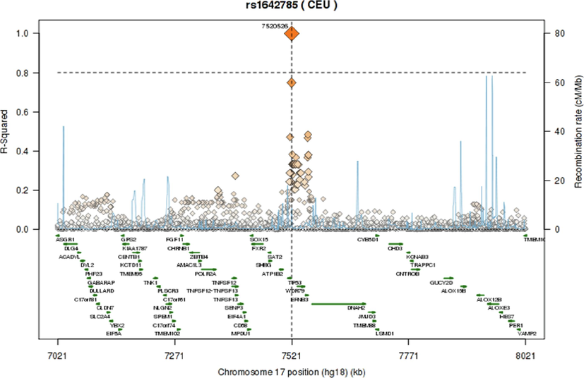 Regional LD plot for the TP53 SNPs (A) rs1042522; (B) rs1642785; (C) rs9894946.