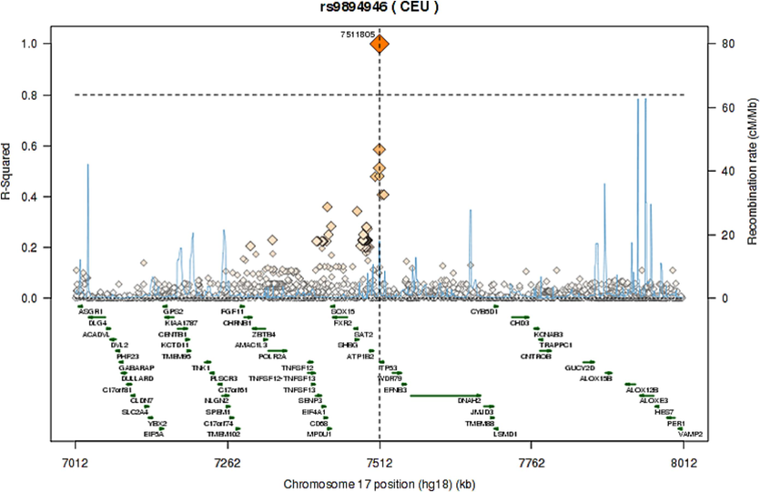 Regional LD plot for the TP53 SNPs (A) rs1042522; (B) rs1642785; (C) rs9894946.