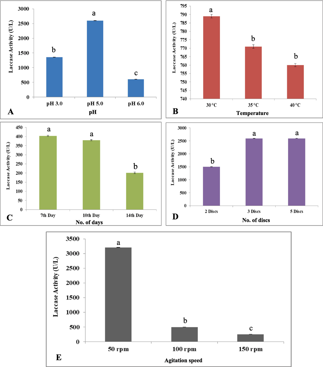 Optimization of culture growth conditions (A. pH; B. Temperature; C. No. of Days; D. No. of Fungal Growth Discs; E. rpm = revolutions per min) for maximum laccase production.