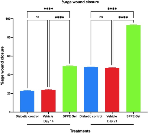 Time-dependent analysis of the effect of SPPE gel on wound closure rates in diabetic rats. The %age wound contraction was assessed on 14 and 21 days after the wound was created. Data expressed as mean and SEM (n = 6), ns indicates non-significant, **** indicates p < 0.001.