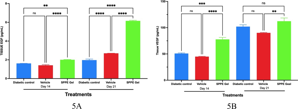 Effect of study treatments on growth factors in wound lysates on days 14 and 21. A) Epidermal Growth Factor (EGF), and B) Vascular Endothelial Growth Factor (VEGF) in Wound Lysates on day 14 and 21 following study treatments. Error bars represent Mean and SEM (n = 6).