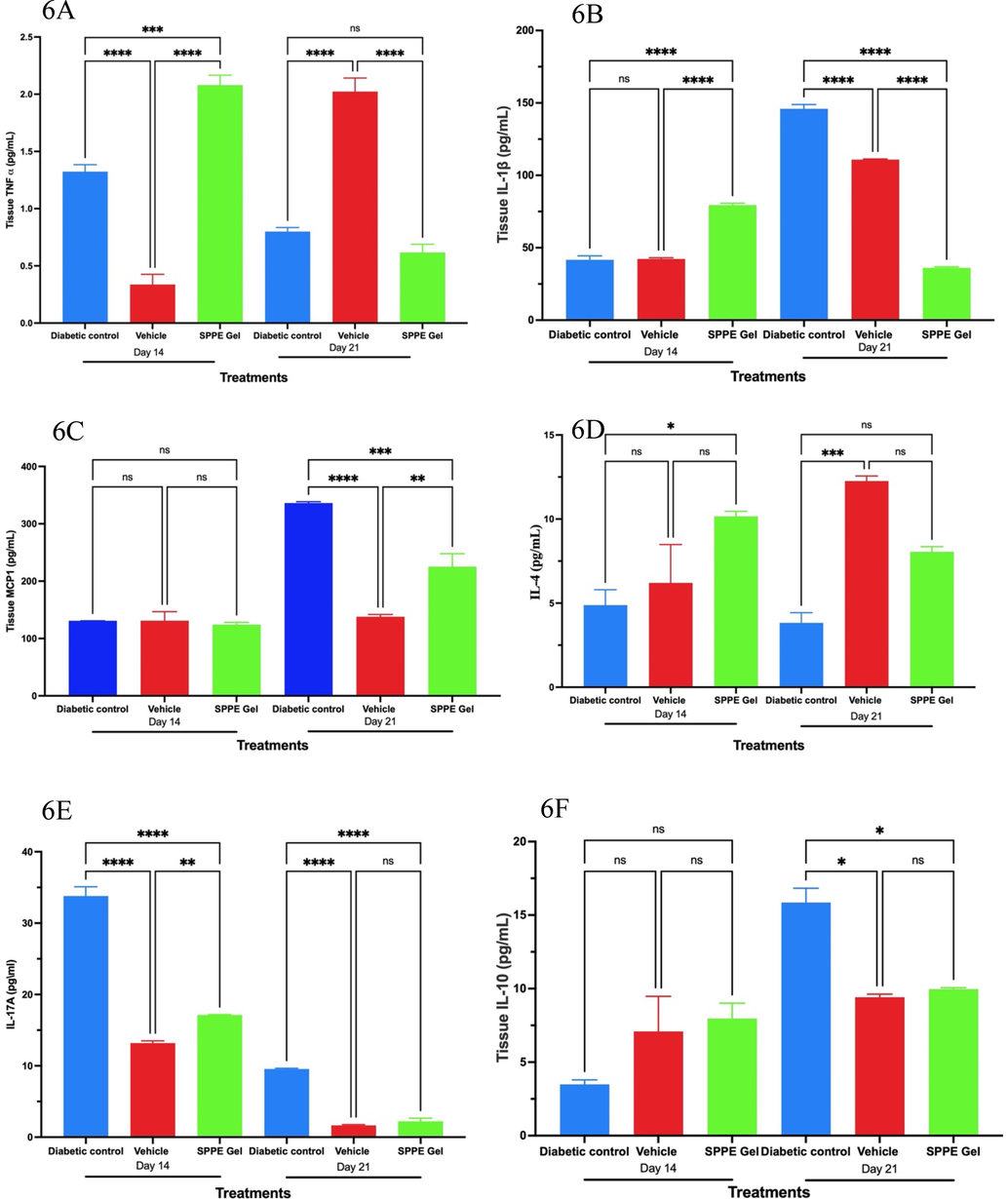 Effects of SPPE gel on TNF-α (A), IL-1β (B), MCP-1 (C), IL-4 (D), IL-17A (E), and IL-10 (F) production at Day 14 and Day 21 after treatment (n = 6). Data are expressed as mean and SEM (n = 8), ****p < 0.0001, *** p < 0.001, ** p < 0.01, * p < 0.05.