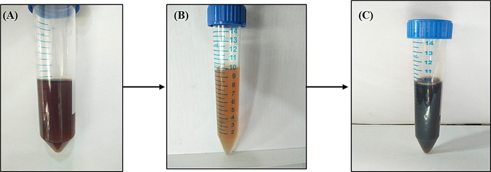 Represents AgNPs synthesized in A. nervosa leaf extract. (a) Leaf extract without the addition of silver nitrate (AgNo3), (b) After adding Ag solution, (c) A. nervosa Leaf extract with Ag solution.