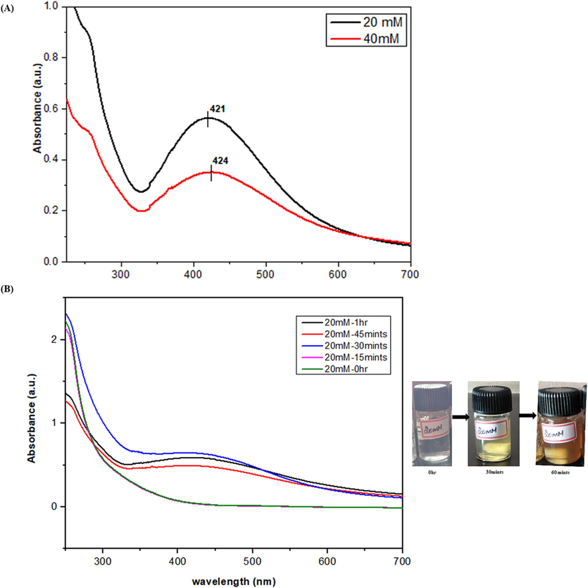 (a) UV- spectrum record of A. nervosa AgNPs in a concentration-dependent manner (20 mM and 40 mM). (b) Time-dependent manner analysis was performed on the duration of 0 hr, 15, 30, 45 min, and 1 hr.