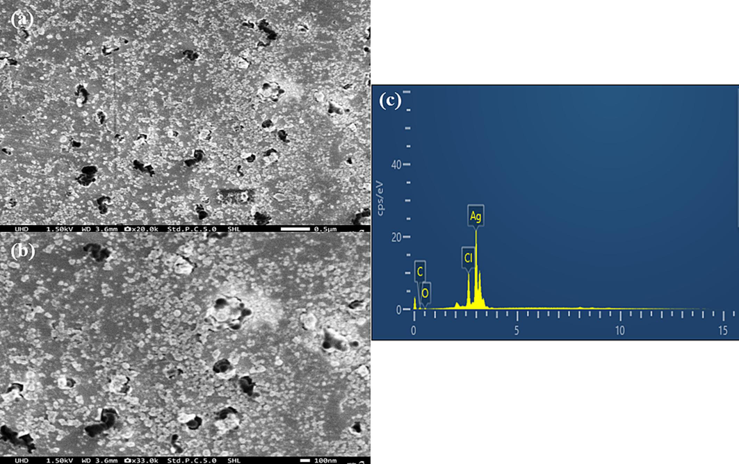 SEM Analysis of A. nervosa mediated AgNPs (a) 50 μm, (b) 100 nm. (c) EDX analysis of AgNPs prepared with A. nervosa leaf extract.