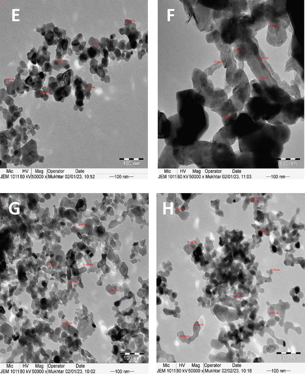 TEM images of catalysts supported on alumina (A) fresh and (B) spent; zirconia (C) fresh and (D) spent; titania (E) fresh and (F) spent; and magnesia (G) fresh and (H) spent.