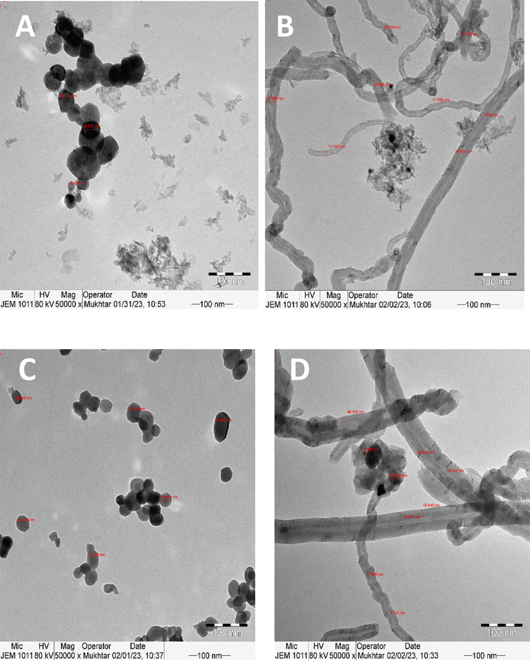 TEM images of catalysts supported on alumina (A) fresh and (B) spent; zirconia (C) fresh and (D) spent; titania (E) fresh and (F) spent; and magnesia (G) fresh and (H) spent.