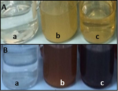 Reaction solution before (A) and after synthesis of silver nanoparticles (B). AgNO3, 5 mM (a), Fig fruit reaction solution (b), Myrrh reaction solution (c).