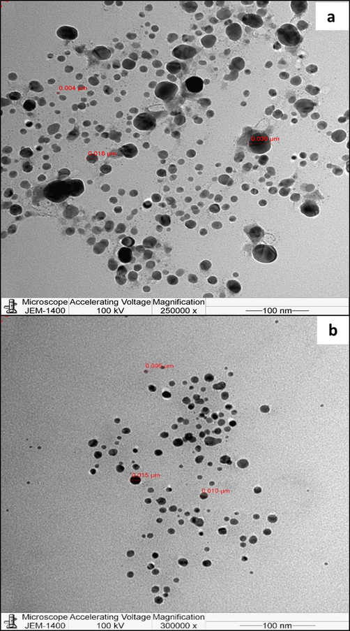 TEM micrographs of biosynthesised FAgNPs (a) and MAgNPs (b).