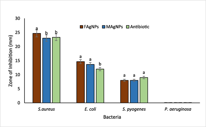 Antibacterial action of biosynthesised FAgNPs, MAgNPs (30 µg/ml) and Antibiotic-Augmentin (10 µg/ml) evaluated by agar well diffusion assay. The vertical bars represent means ± S.D (n = 3). Bars with different letters are significantly different (P ≤ 0.05) according to Tukey (HSD) test.