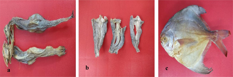 Samples of dried fishes collected from Cox’s Bazar Sea beach area in Bangladesh; (a) Harpadon nehereus, (b) Channa punctata and (c) Pampus chinensis.